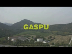 GASPU Company Introduction