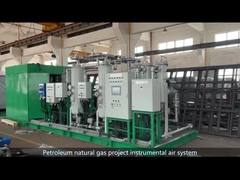 Petroleum natural gas project instrument air system