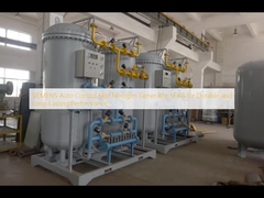 SIEMENS Auto Control Skid Nitrogen Generator SFXG for Durable and Long-Lasting Performance