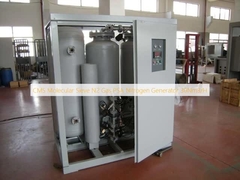CMS Molecular Sieve N2 Gas PSA Nitrogen Generator 30Nm3/H